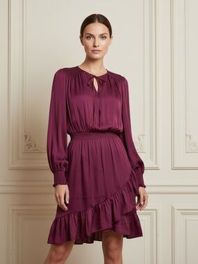 Banana Republic Feminine Long-Sleeve Ruffle Dress in Rich Plum
